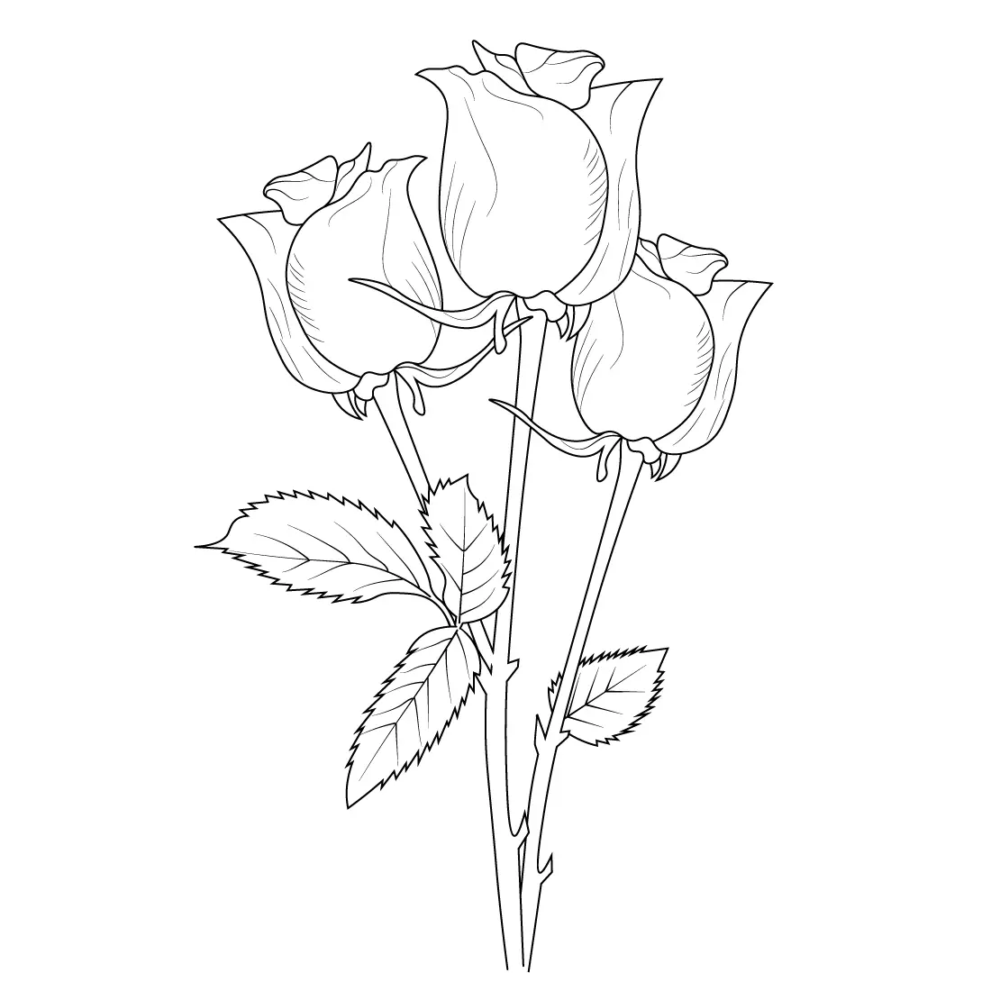 pretty rose drawing