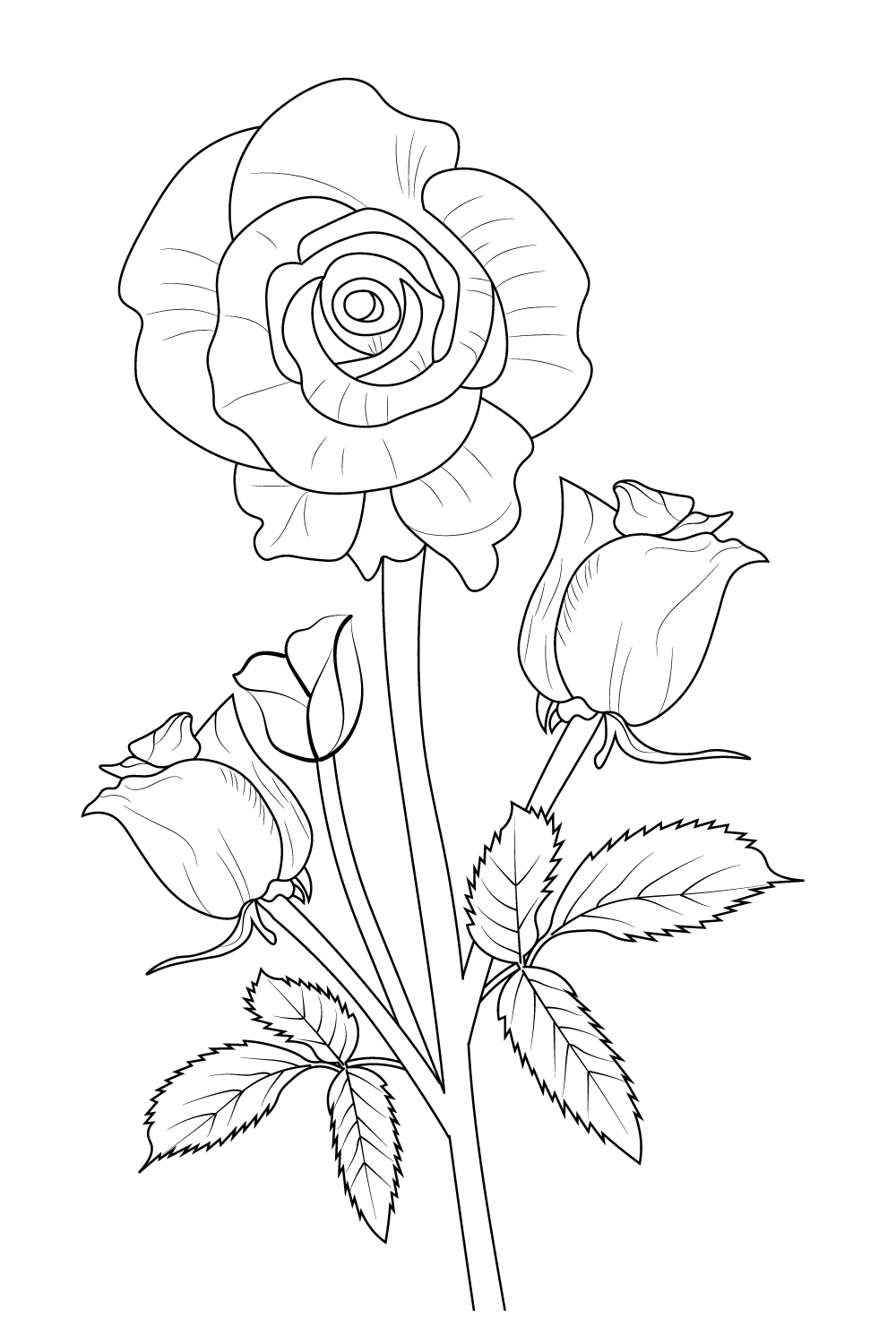 Botanical drawing of rose-tree Stock Photo - Alamy