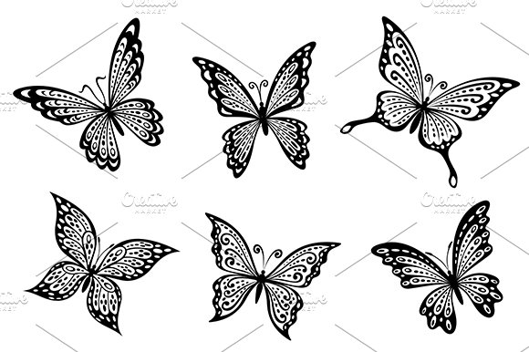 Beautiful butterflies insects cover image.