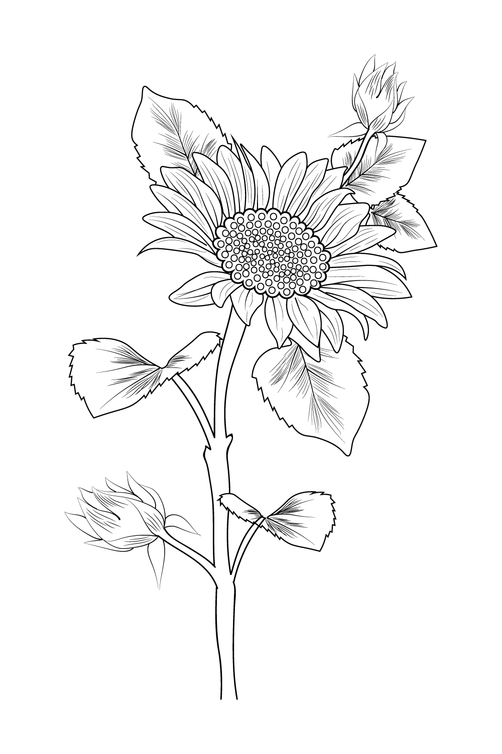 Tattoo style flower fine line drawing Art Print for Sale by ChloTattoo   Redbubble