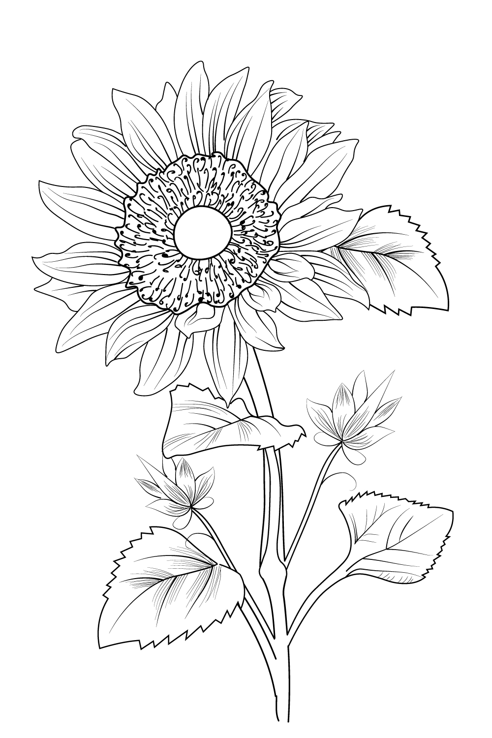 simple sunflower drawings