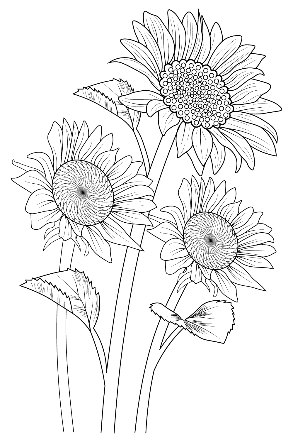 sunflower line art, floral vector illustration, vintage engraved style flowers with sunflowers isolated on white background, and hand-drawn botanical sunflowers botanical illustration sunflower botanical drawing, beautiful monochrome sunflower vector sketch blossom sunflower drawing branch vector illustration pinterest preview image.