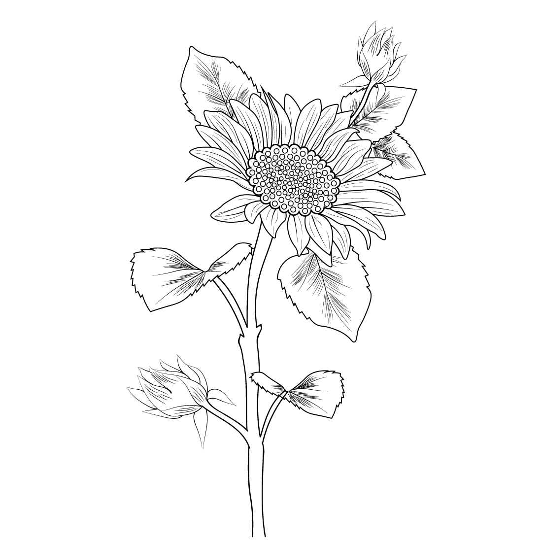 Sunflower - one line drawing' Sticker | Spreadshirt