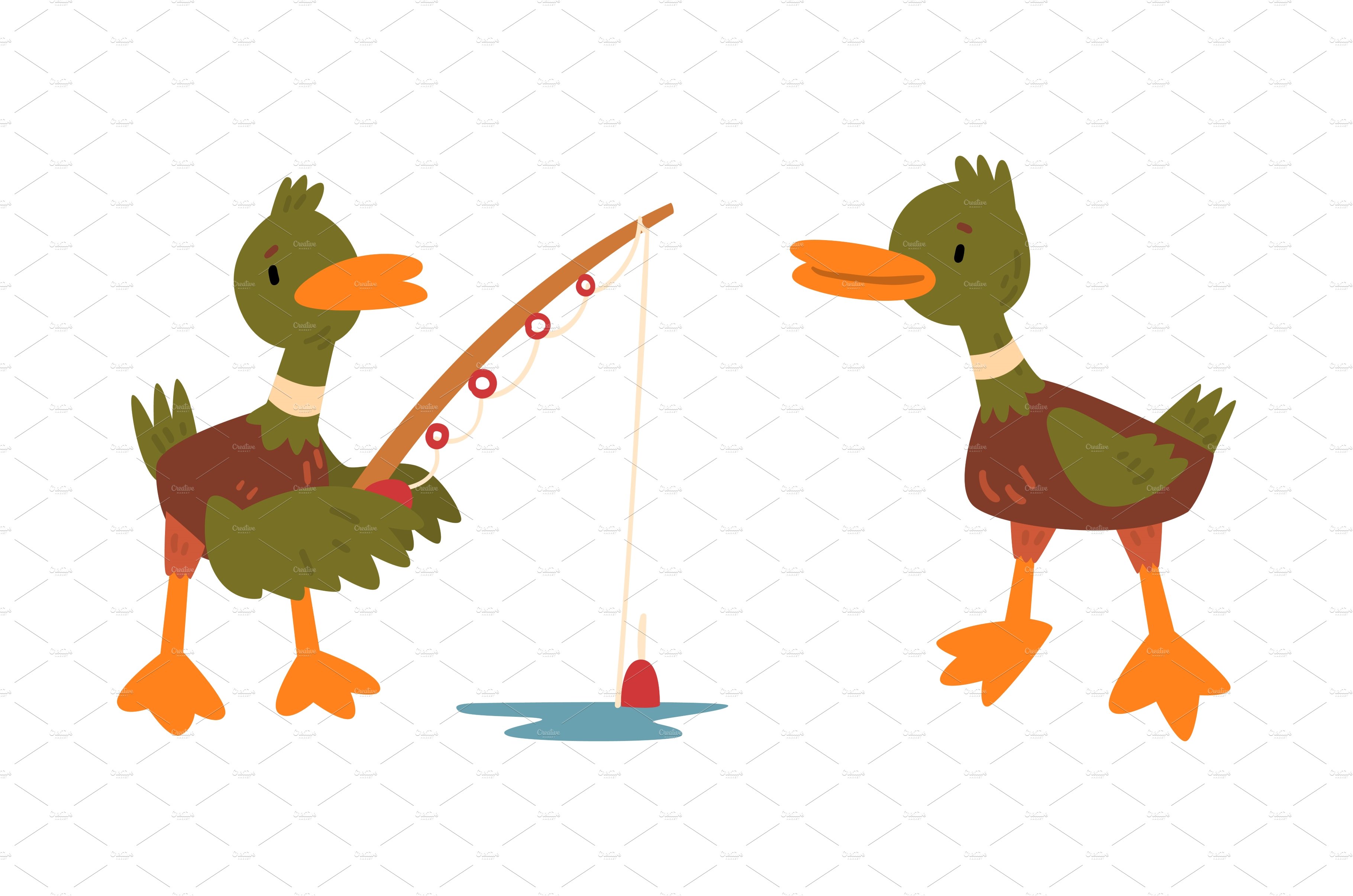 Male Mallard Duck with Orange Bill cover image.