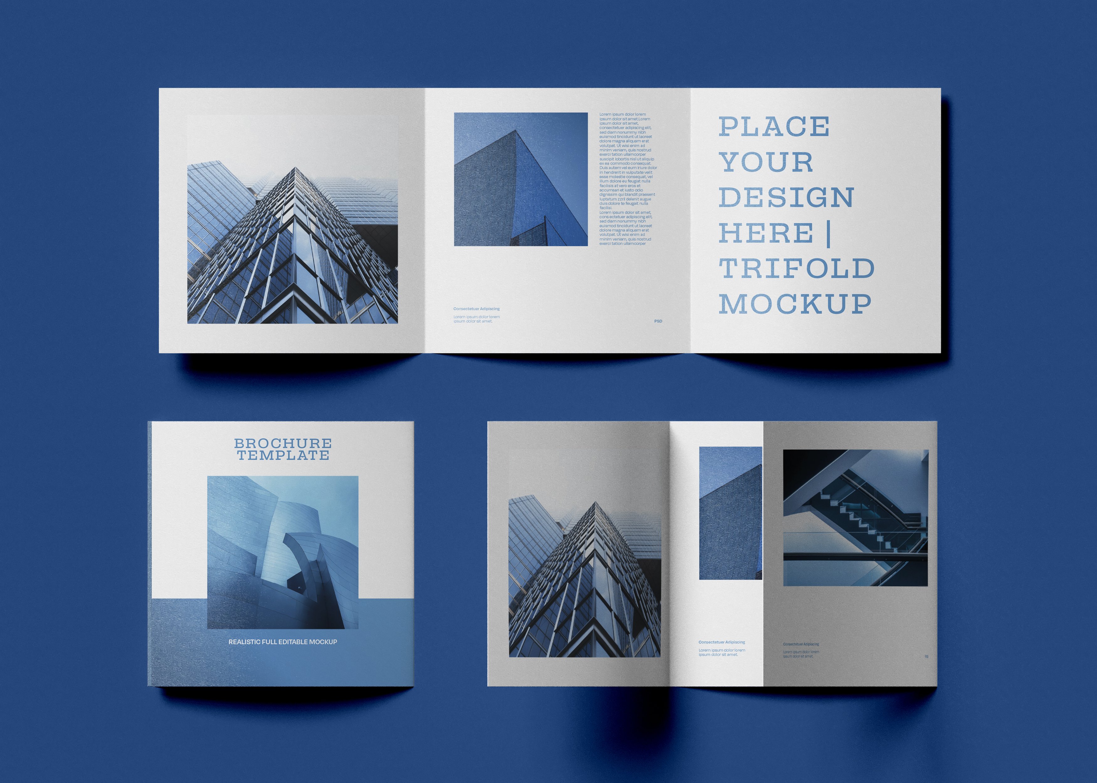 Trifold Brochure Mockup cover image.