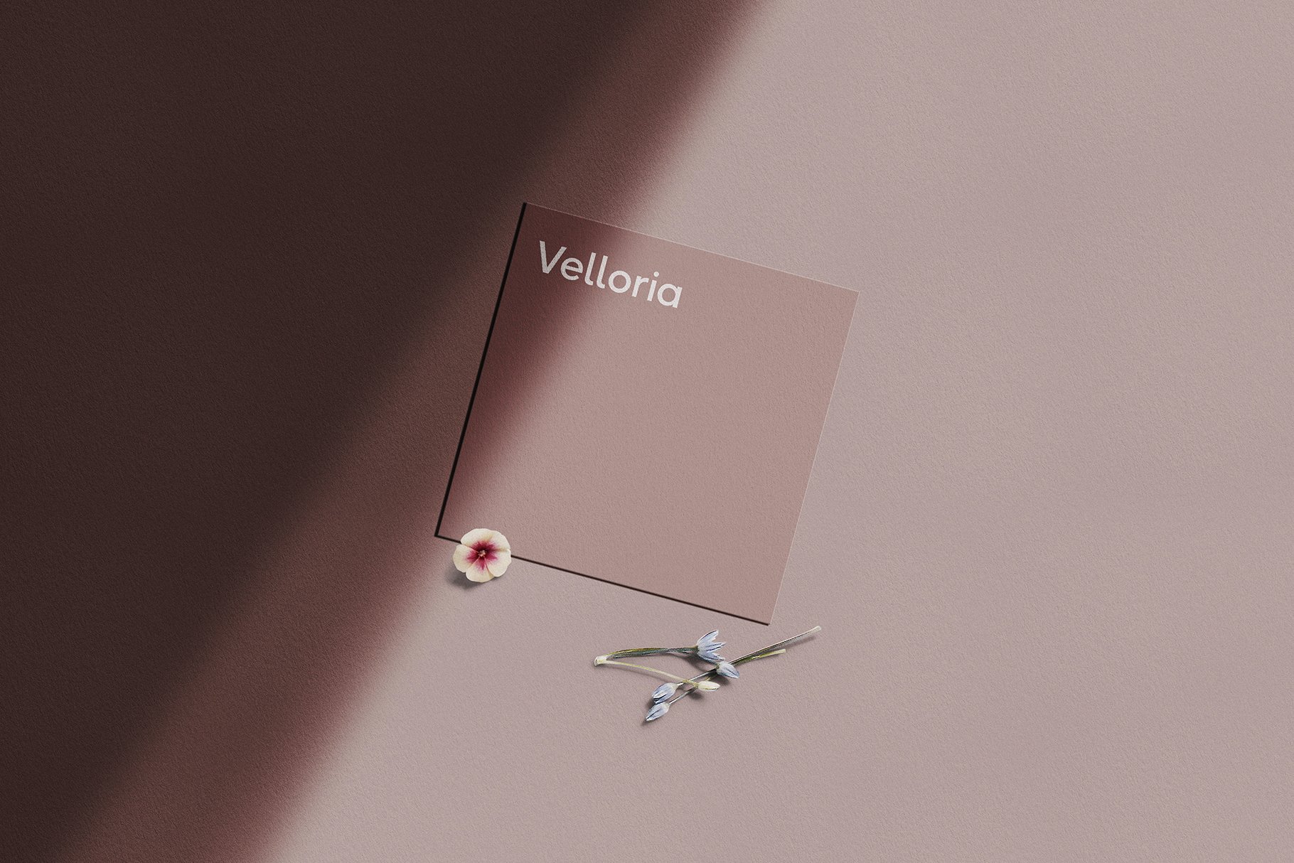 Velloria Mini — Stationery Mockup preview image.