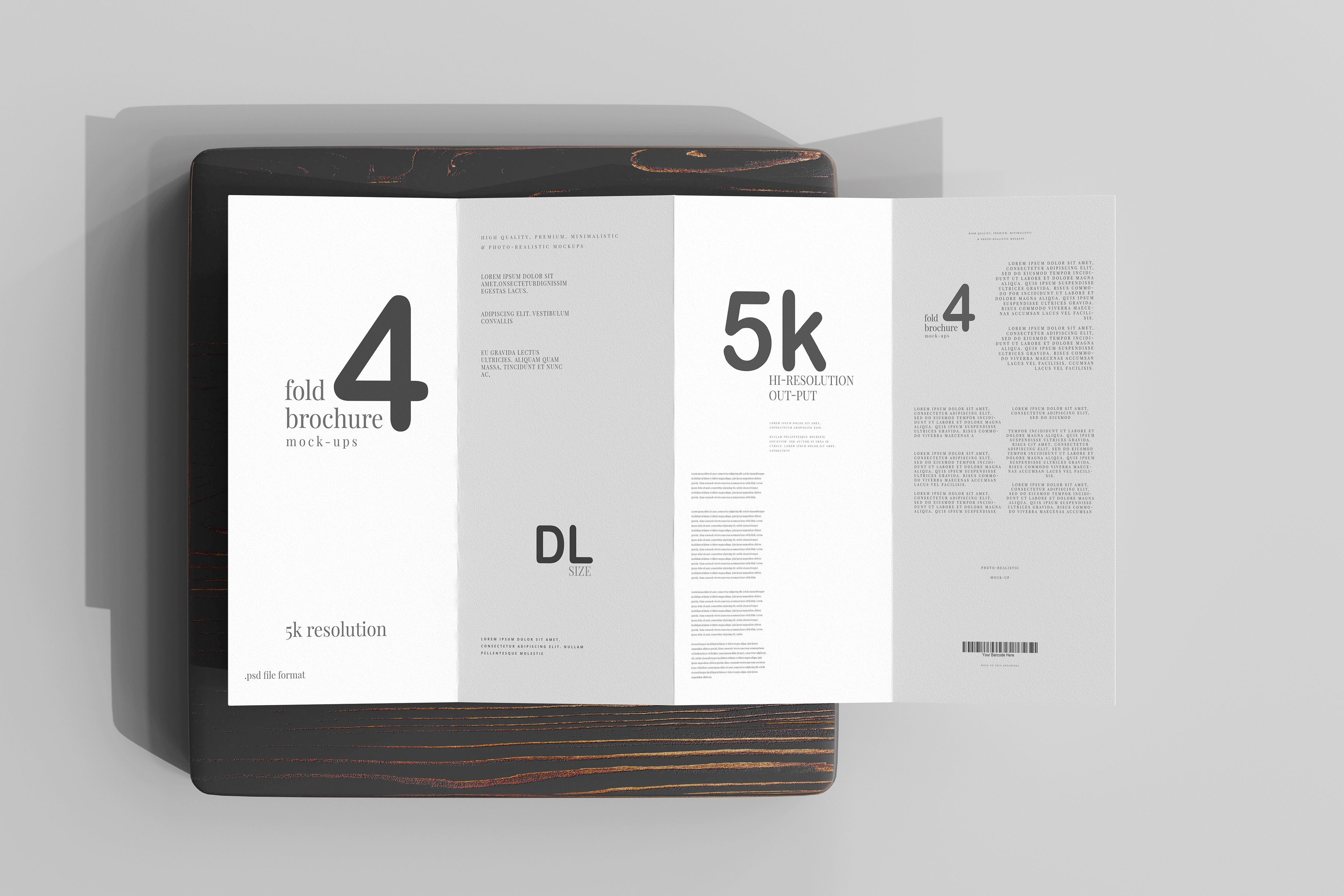 DL Size Four-Fold Brochure Mockup preview image.
