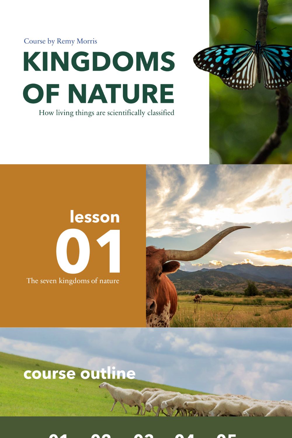 Nature Course PowerPoint Presentation Template pinterest preview image.