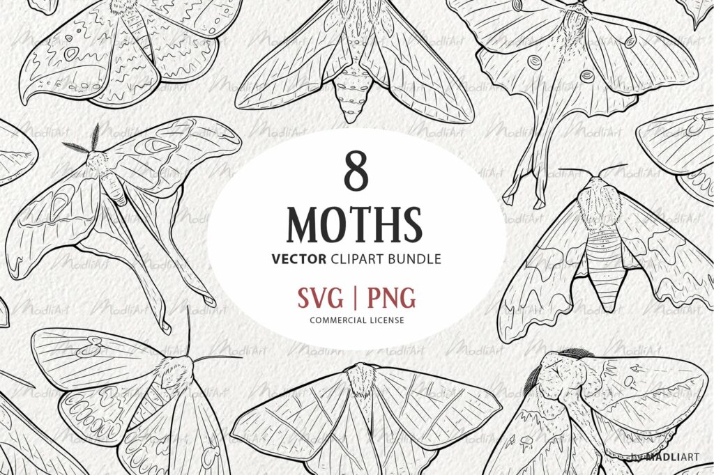 Moth Guide Vector Moth Vector Clipart Bundle – MasterBundles