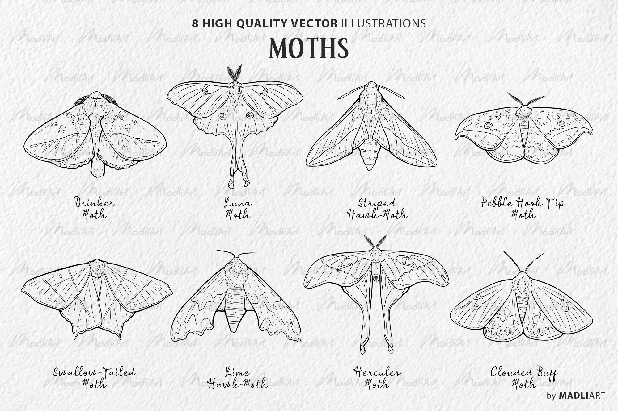 4. 8 moth v1 cover 03 14