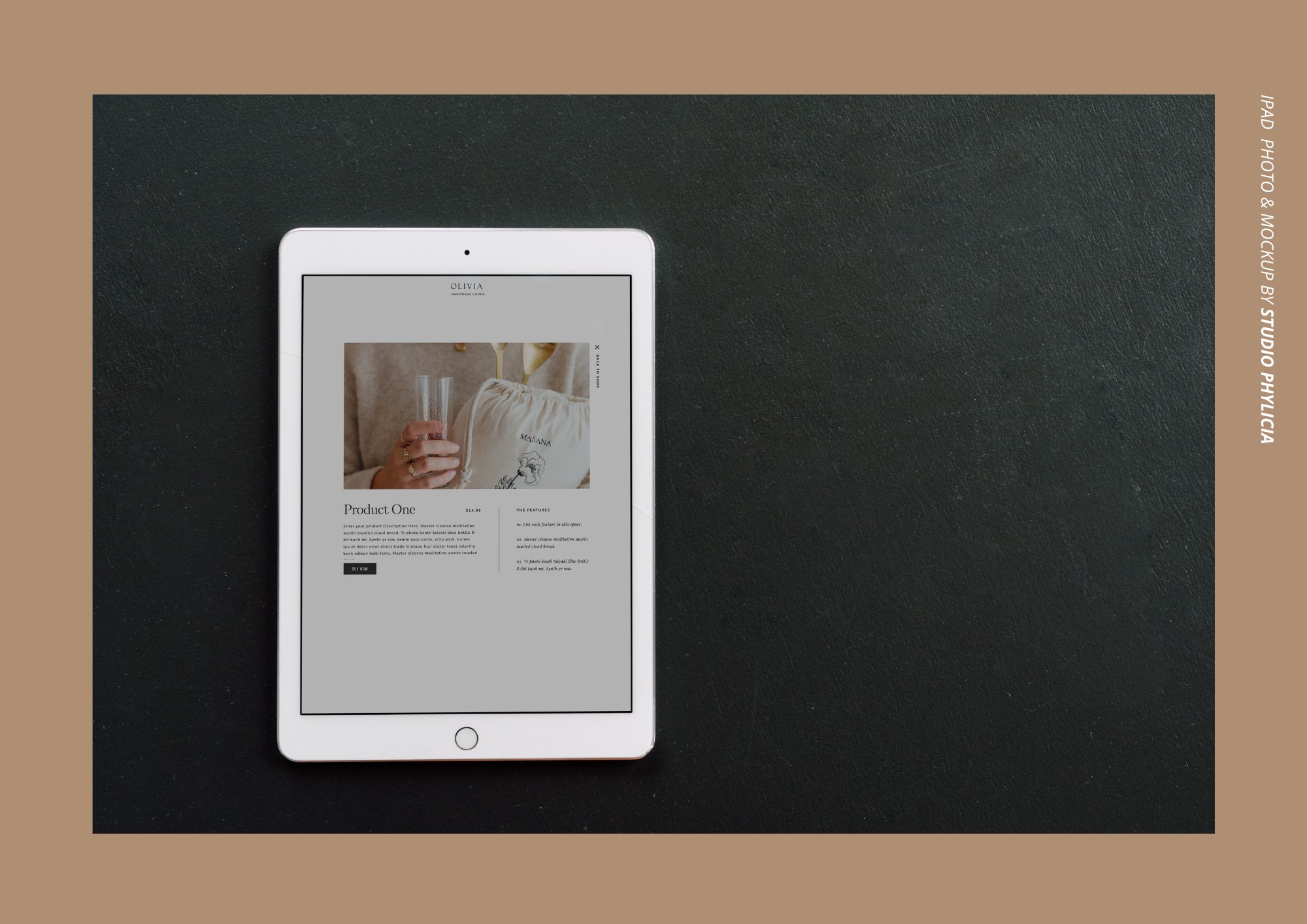 Ipad Mockup, CAES 10 preview image.