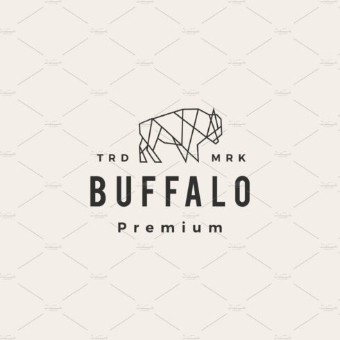 buffalo bison geometric hipster cover image.