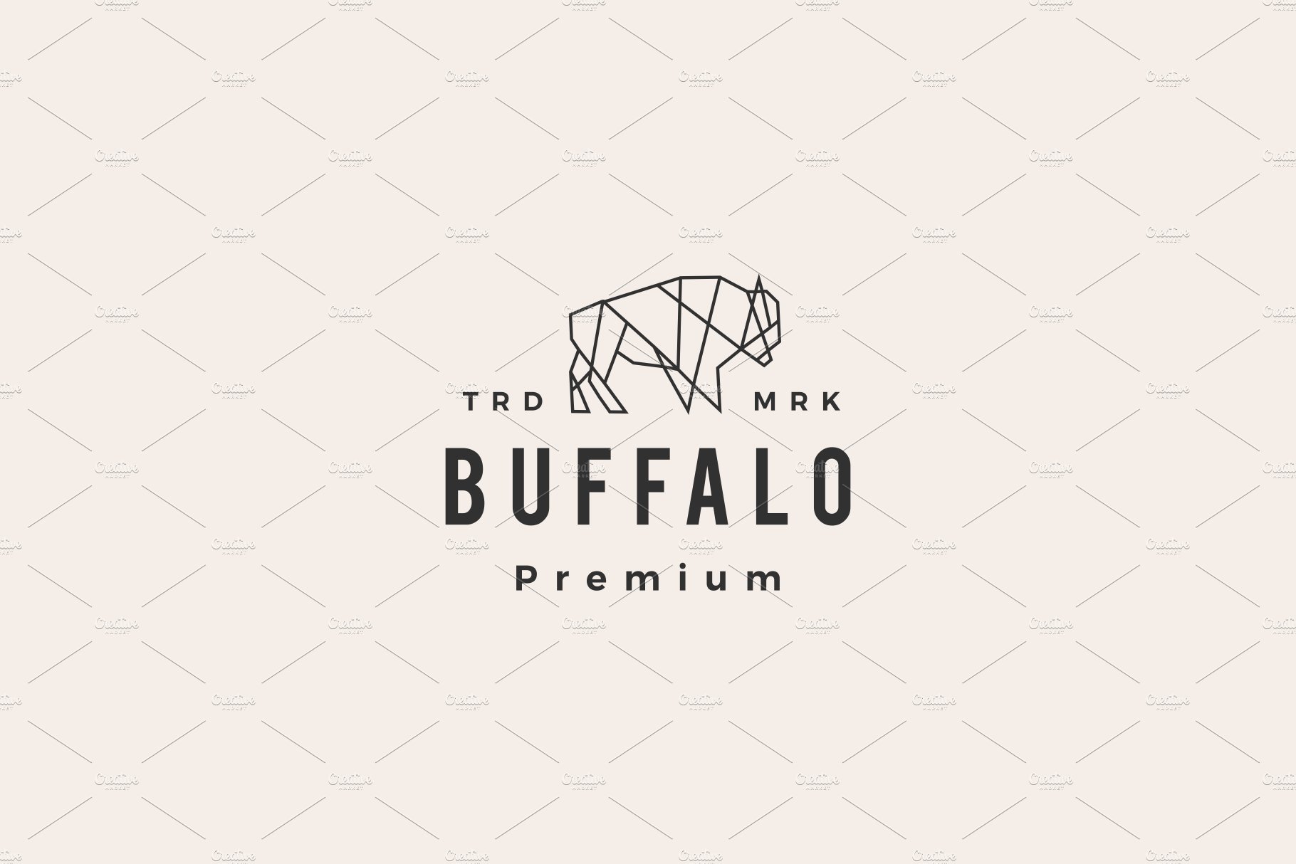 buffalo bison geometric hipster cover image.