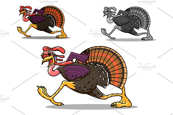 Running turkey bird cover image.