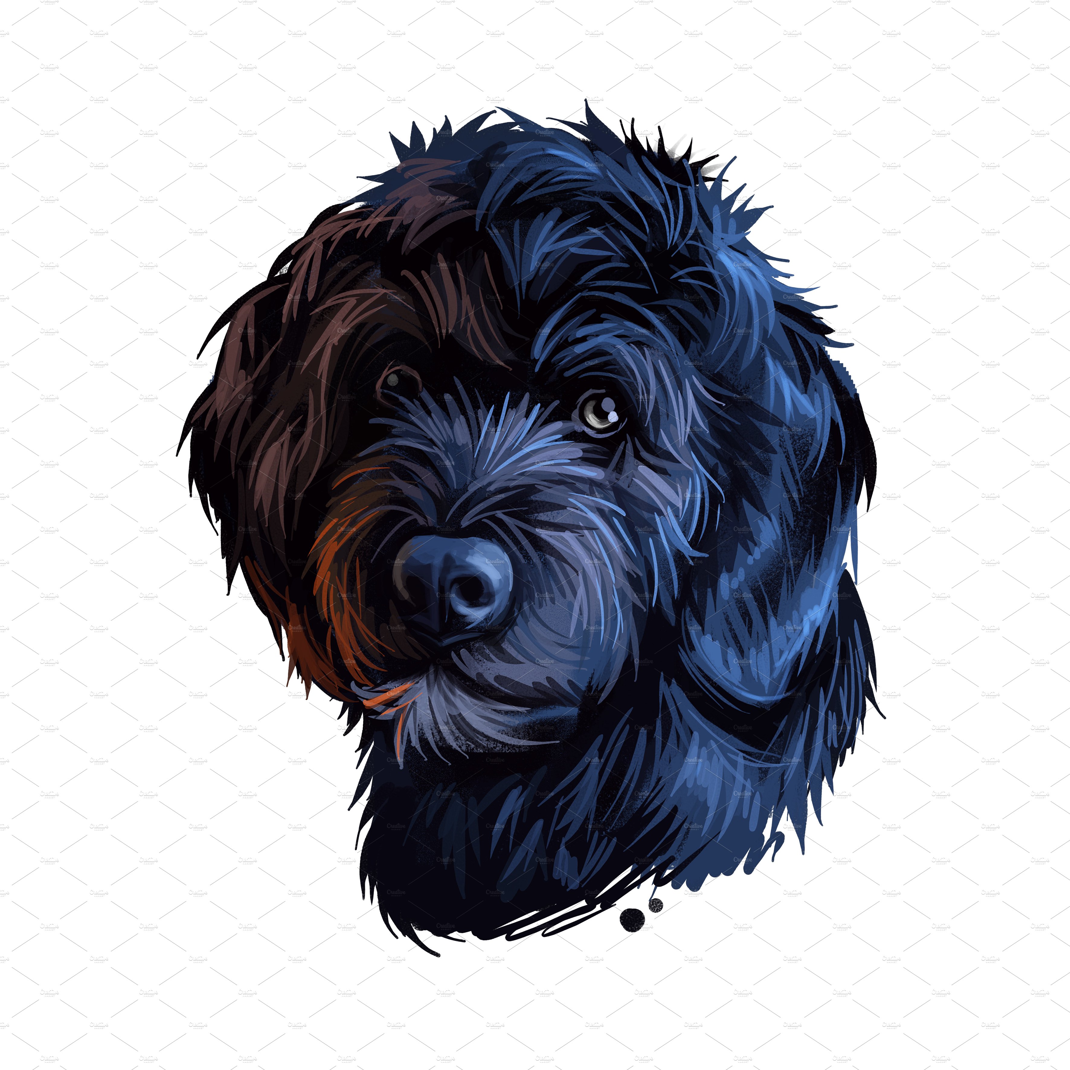 43. portuguese water dog 28129 43