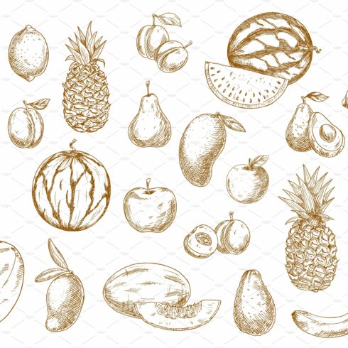 Fruits sketch food icons cover image.
