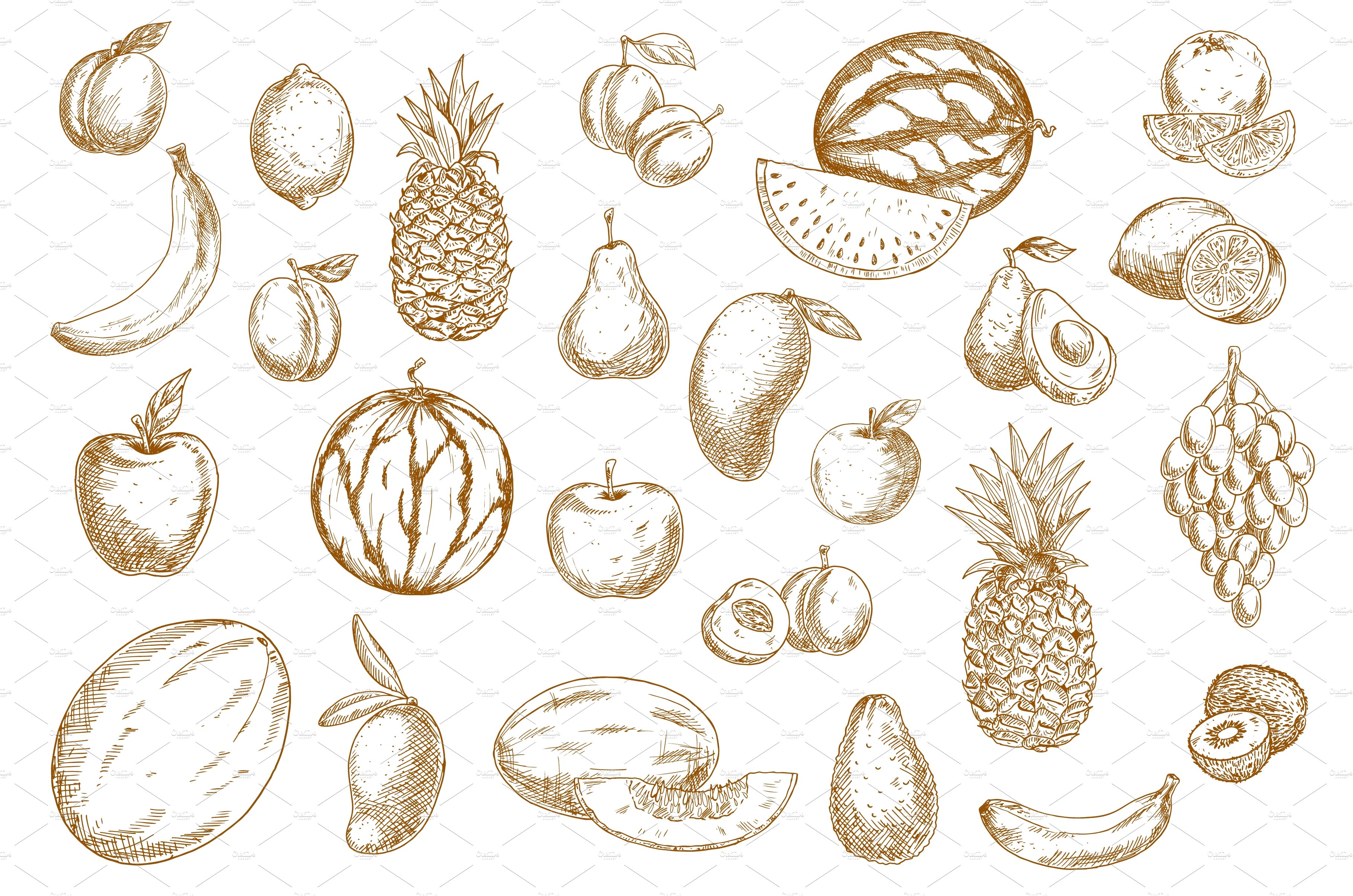 Fruits sketch food icons cover image.