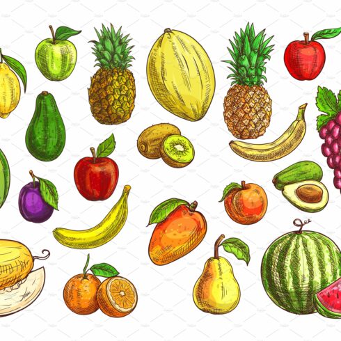 Fruits sketches cover image.