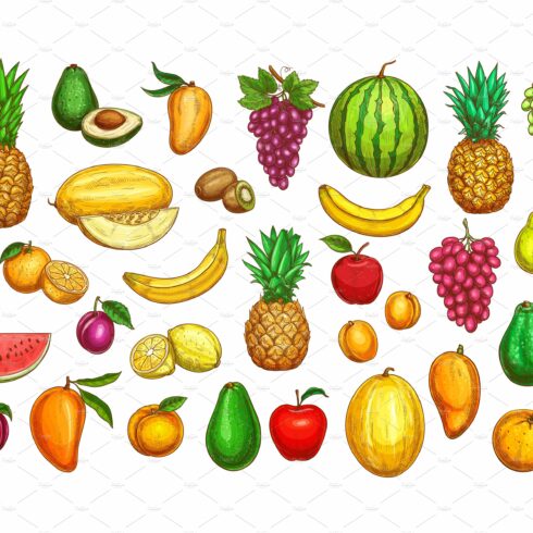 Fruits sketch icons, farm fruits cover image.