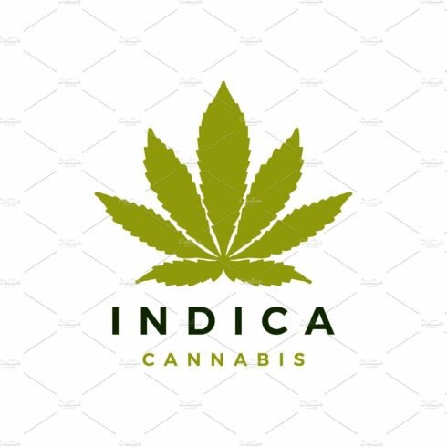indica cannabis logo vector icon cover image.