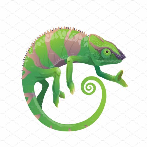 Chameleon green lizard cover image.