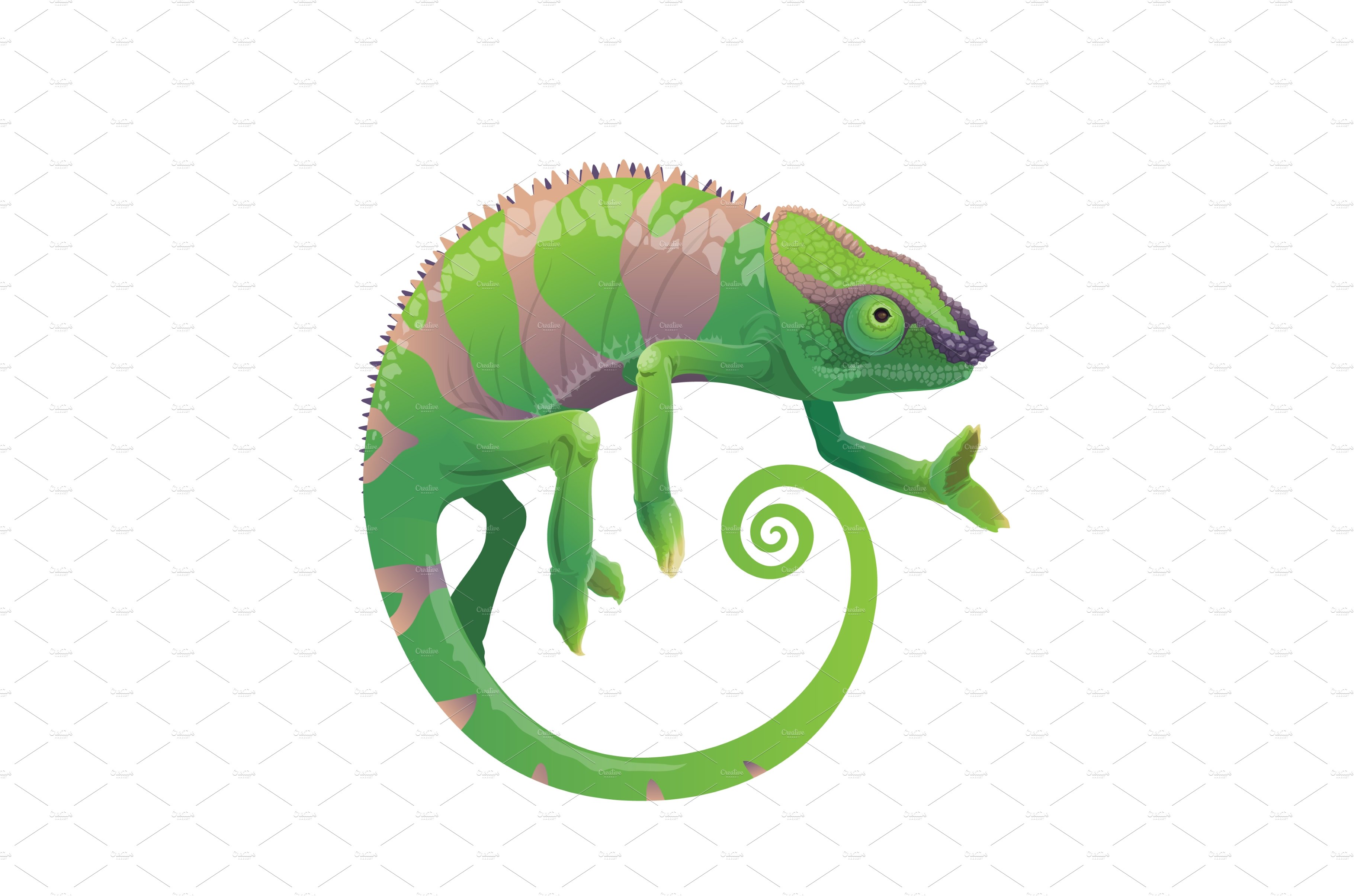 Chameleon green lizard cover image.