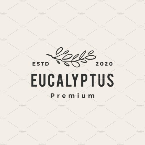 eucalyptus hipster vintage logo cover image.