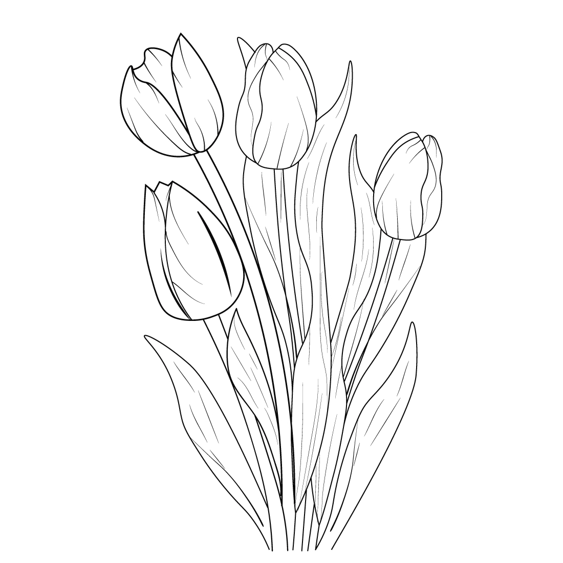 vintage tulip illustration, tulip flower drawing, pencil realistic ...