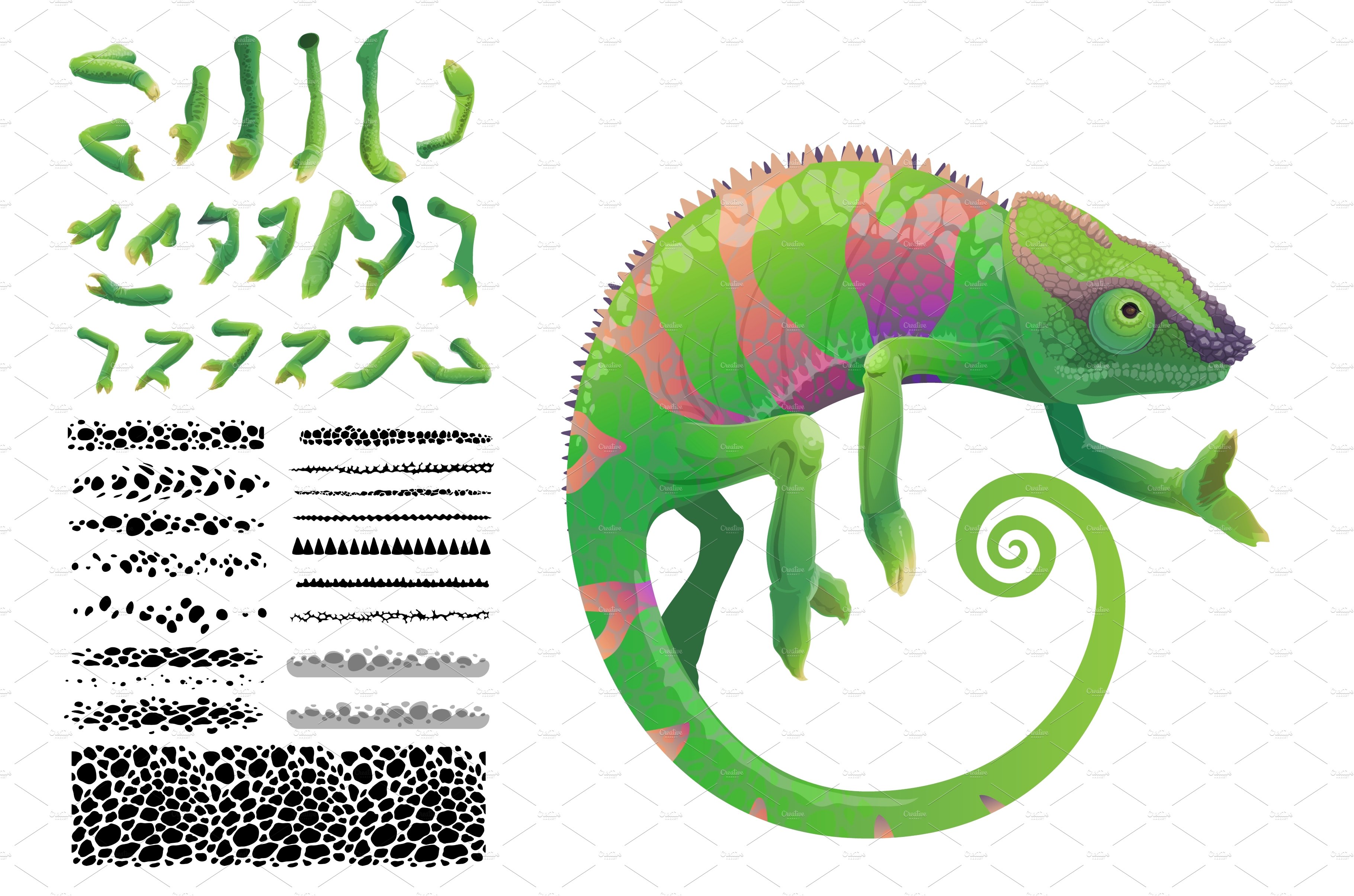 Green chameleon lizard reptile cover image.