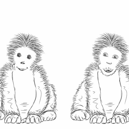 Small and Old Gorilla. Monkey cover image.