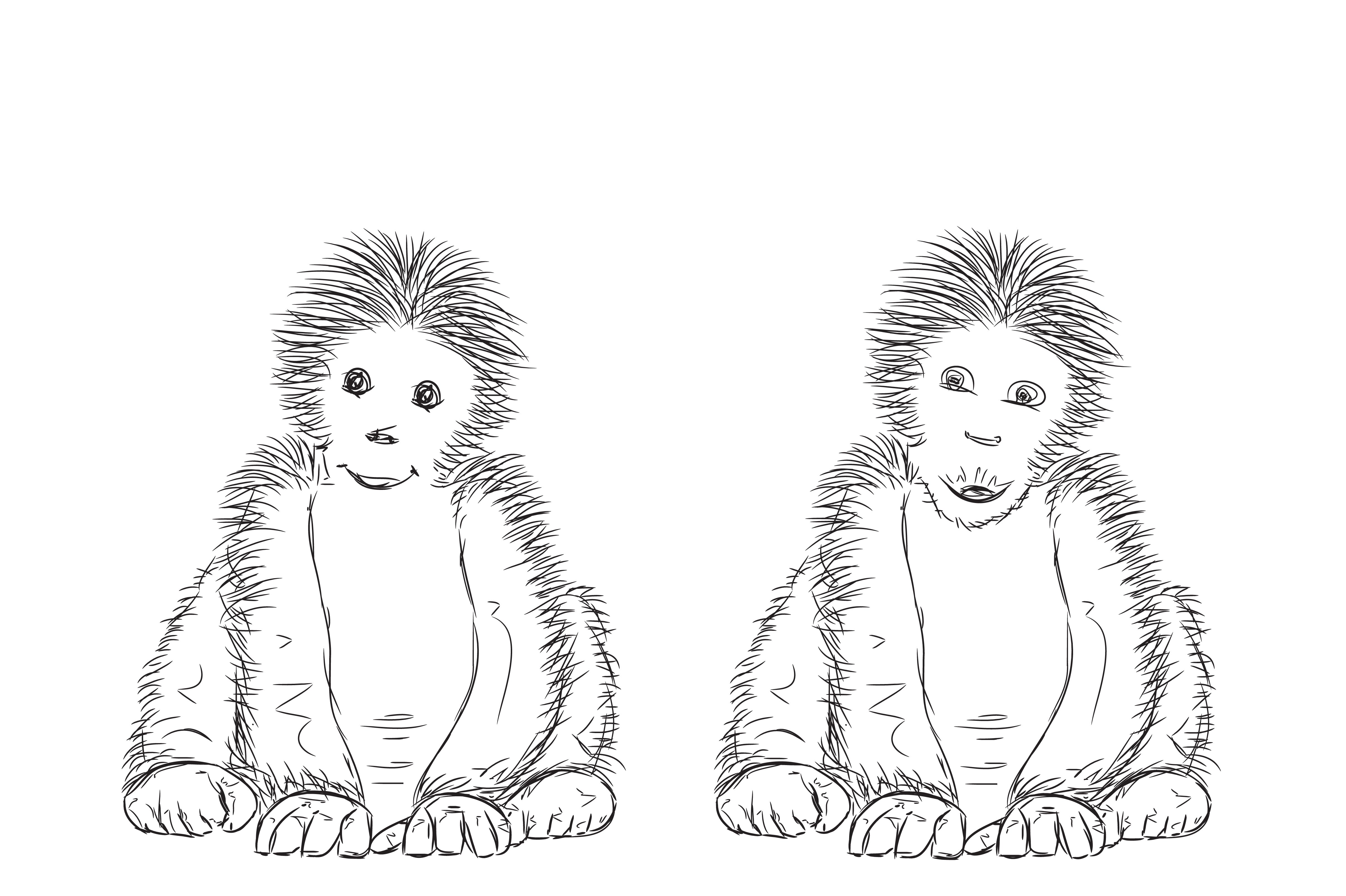 Small and Old Gorilla. Monkey cover image.