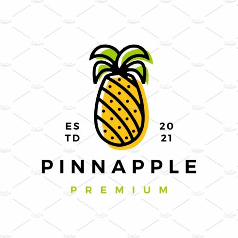pine apple logo vector icon cover image.