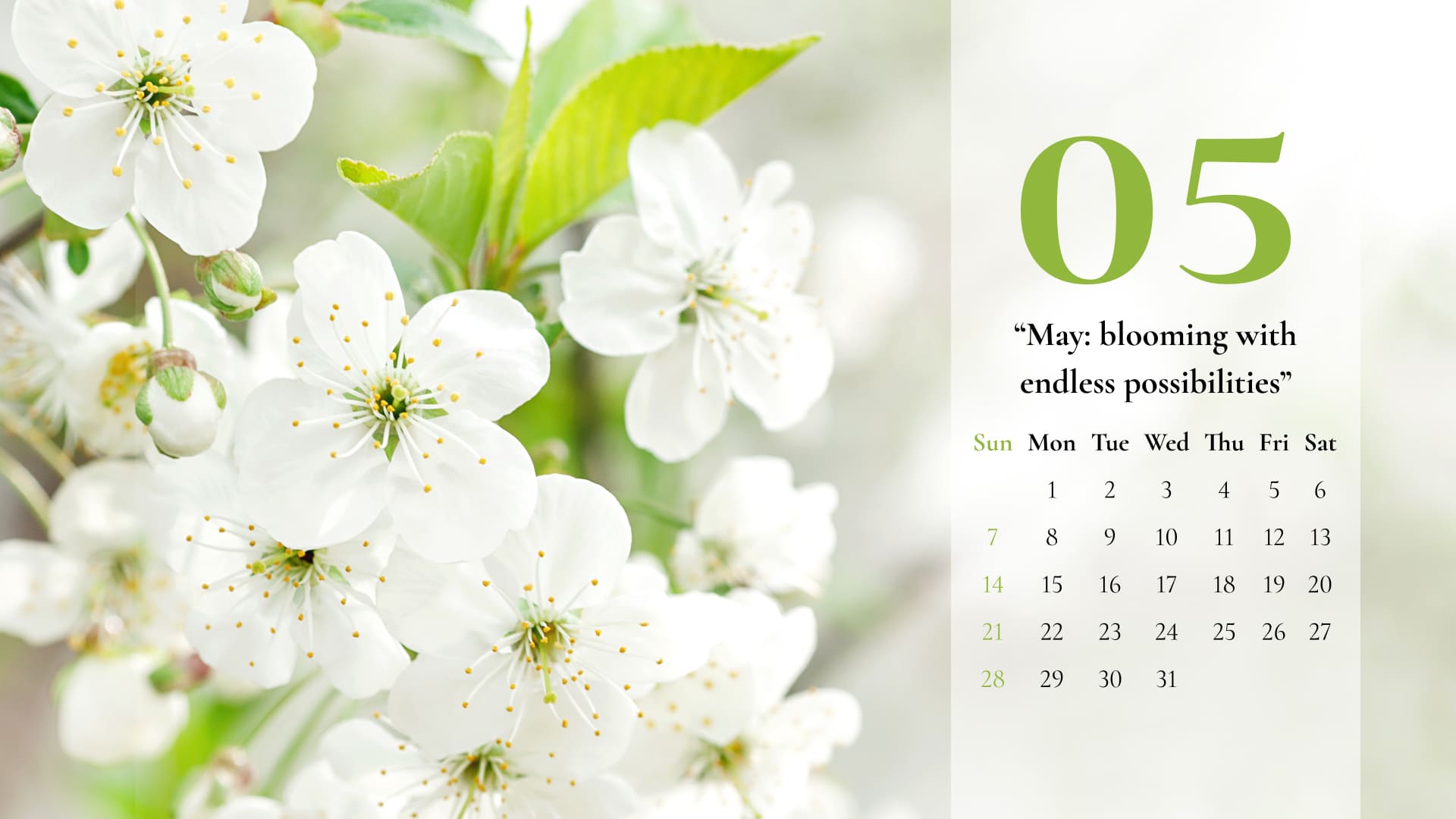 5 calendar may 9 1920h1080 766