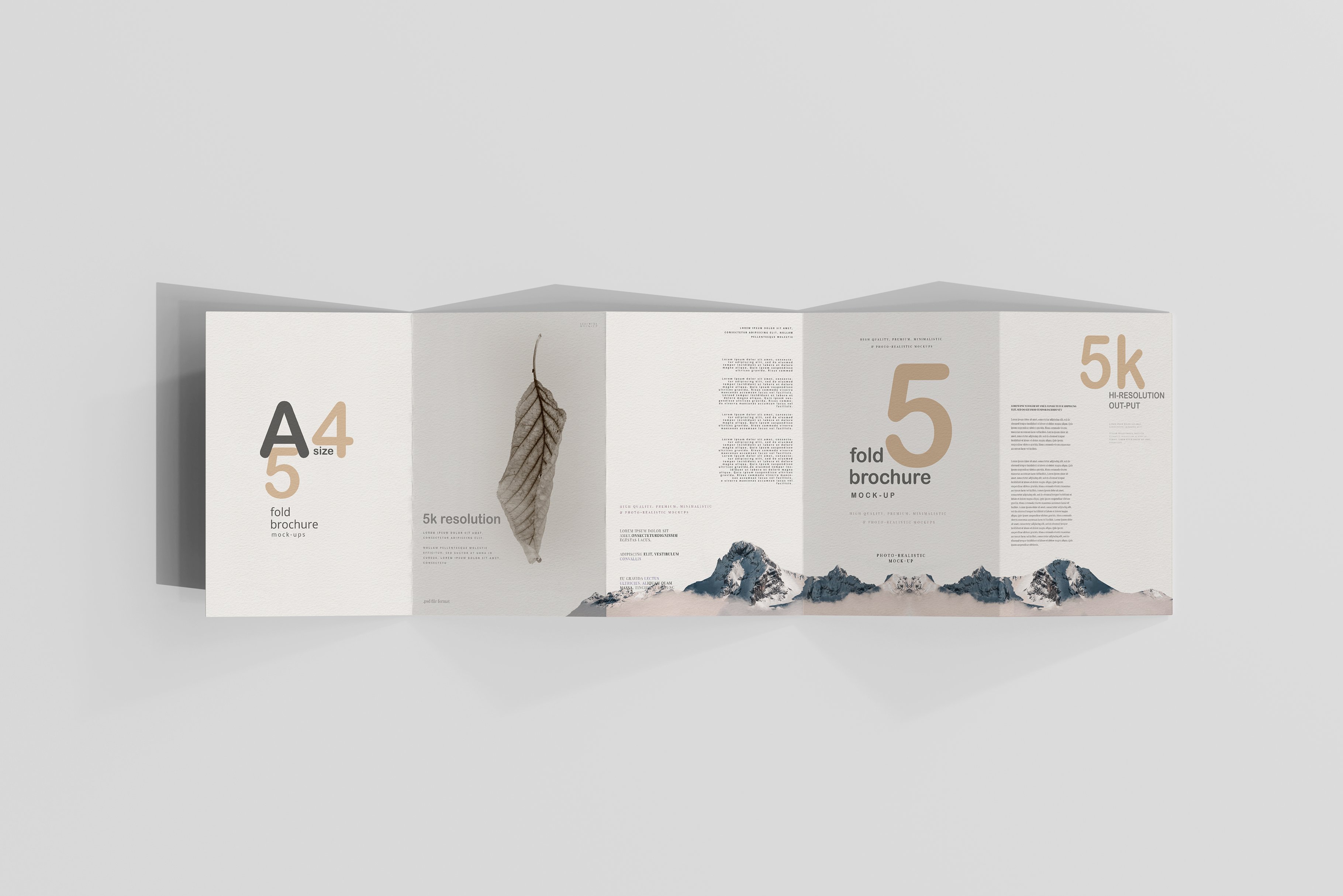 A4 Size Five Fold Brochure Mockup preview image.