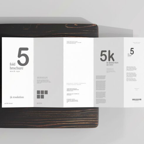 DL Size Five-Fold Brochure Mockup cover image.