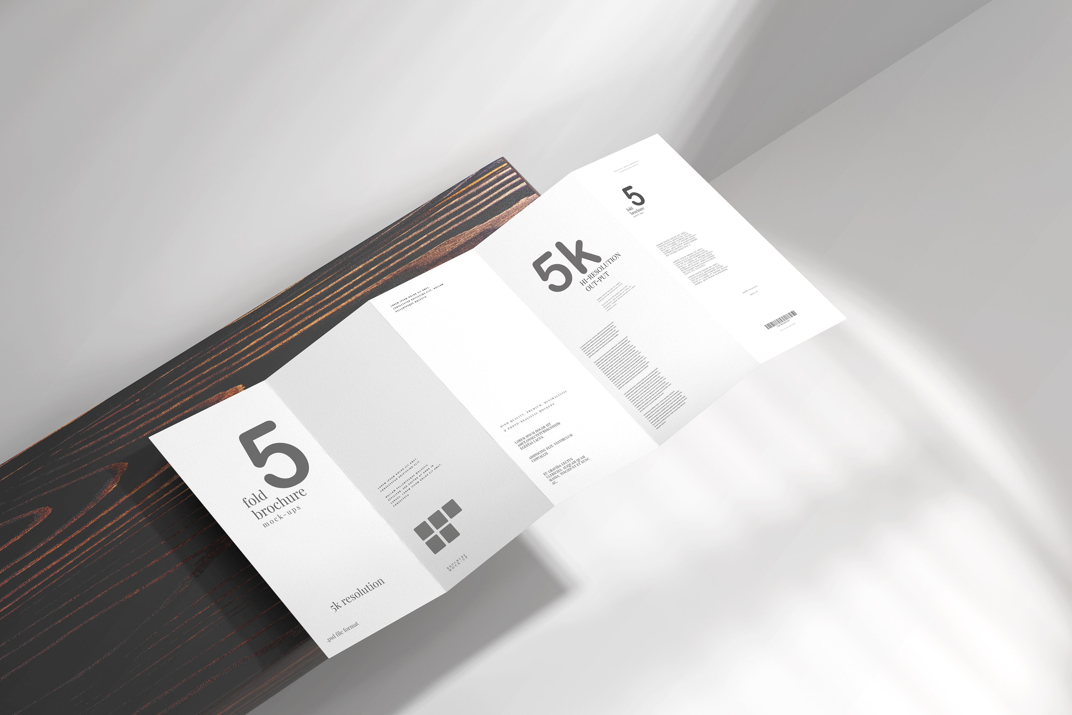 DL Size Five-Fold Brochure Mockup preview image.