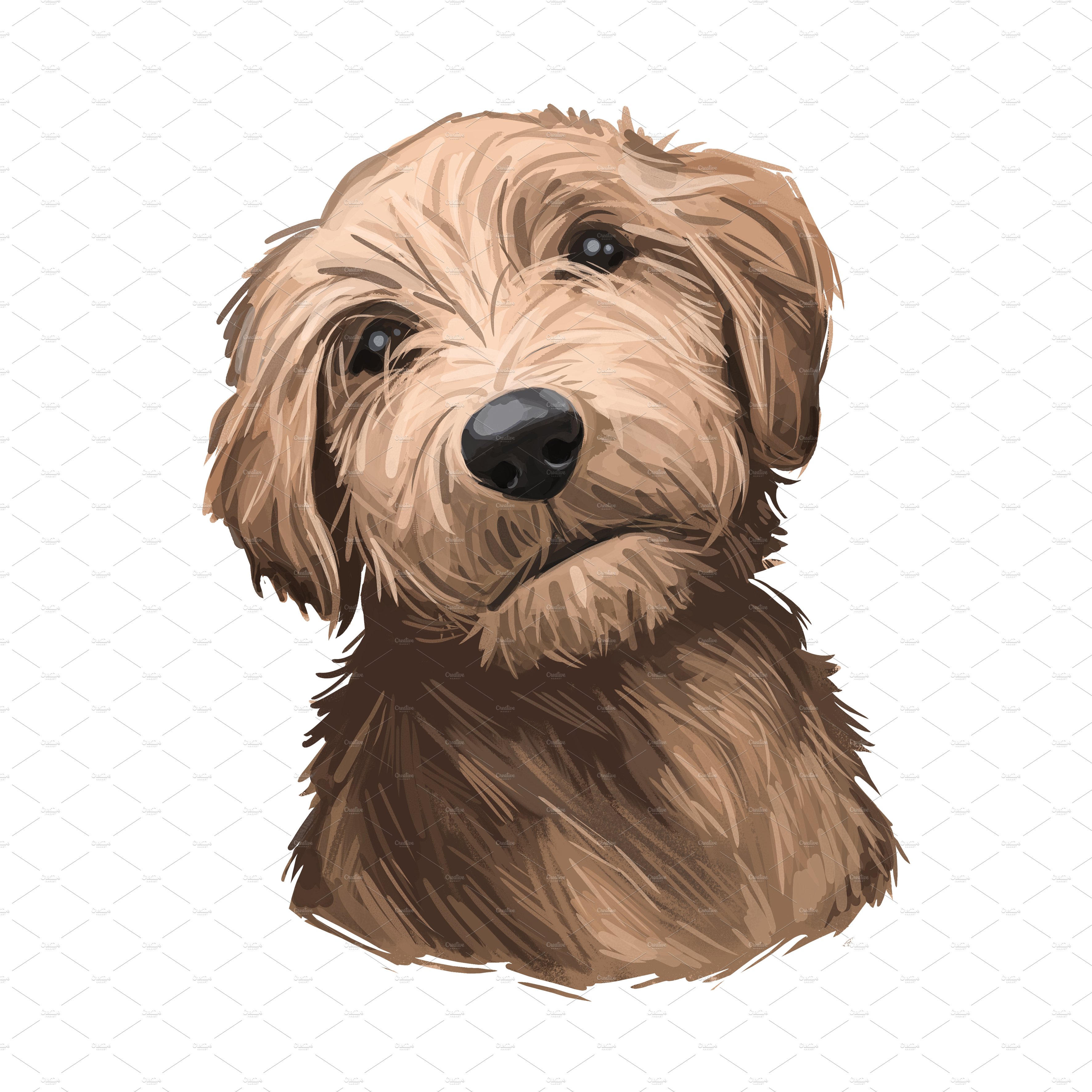 5. goldendoodle puppy tan 28229 979