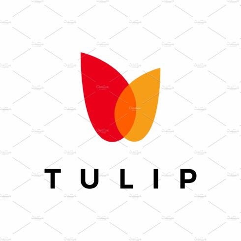 tulip overlapping color logo vector cover image.