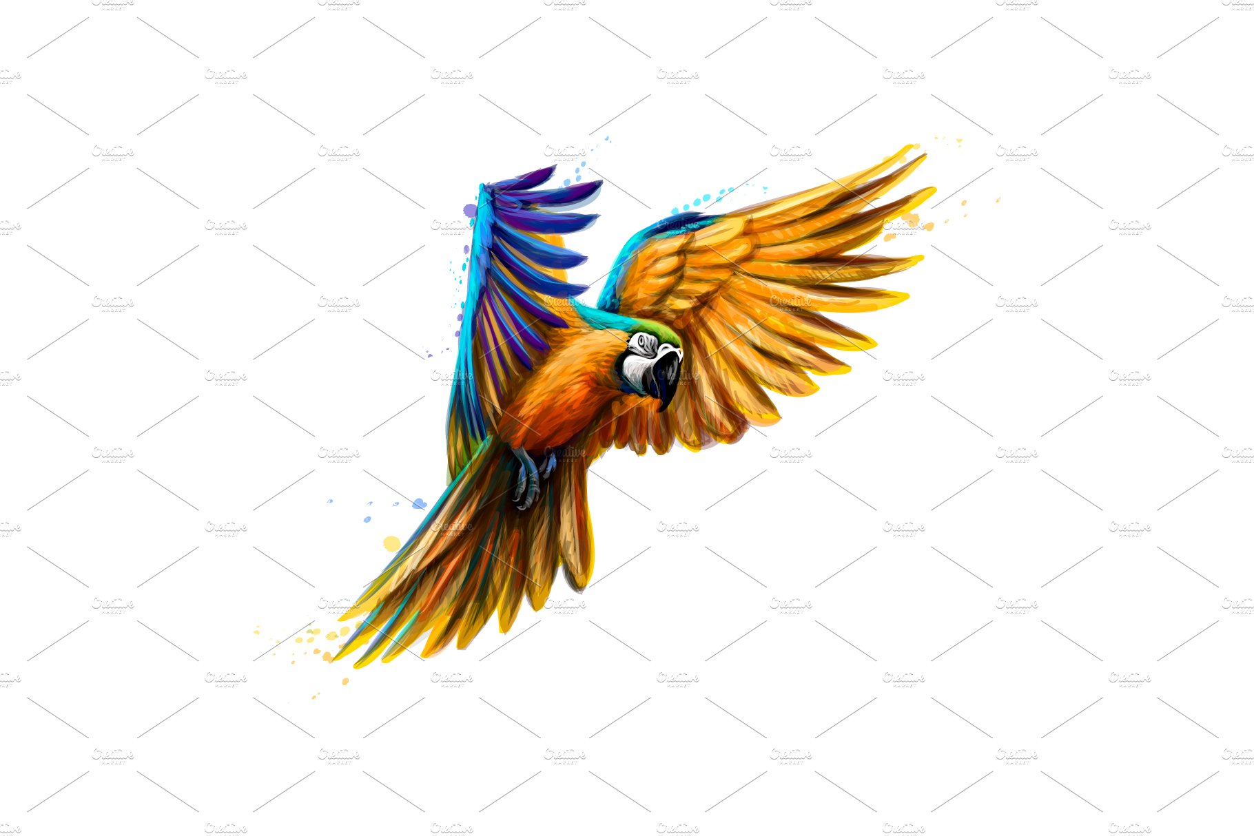 Portrait blue-and-yellow macaw cover image.