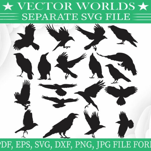 Rook Crow Svg, Rook, Crow Svg cover image.