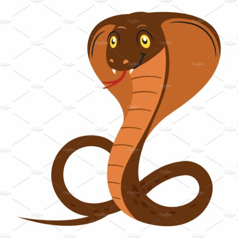 Cobra snake cartoon vector cover image.