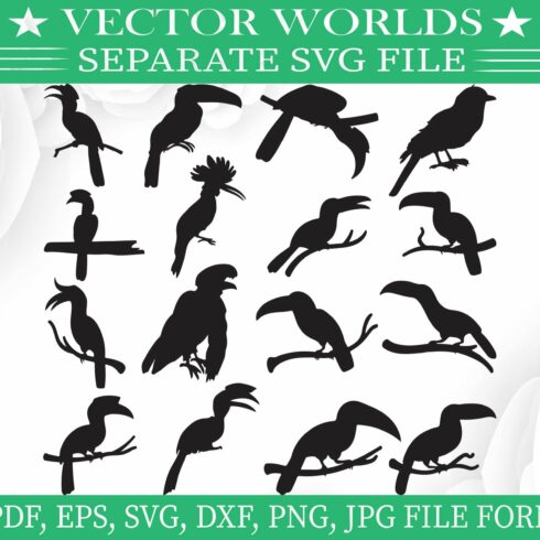 Hornbills Svg, Bird, Birds Svg cover image.