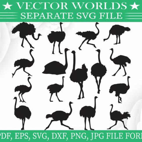 Ostrich Svg, Animal, Animals Svg cover image.