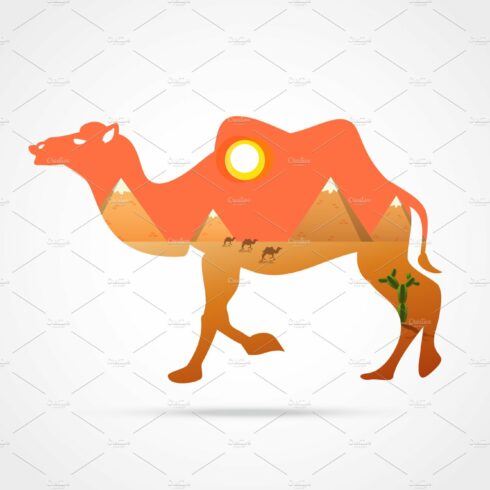 Silhouette of camel with panorama cover image.