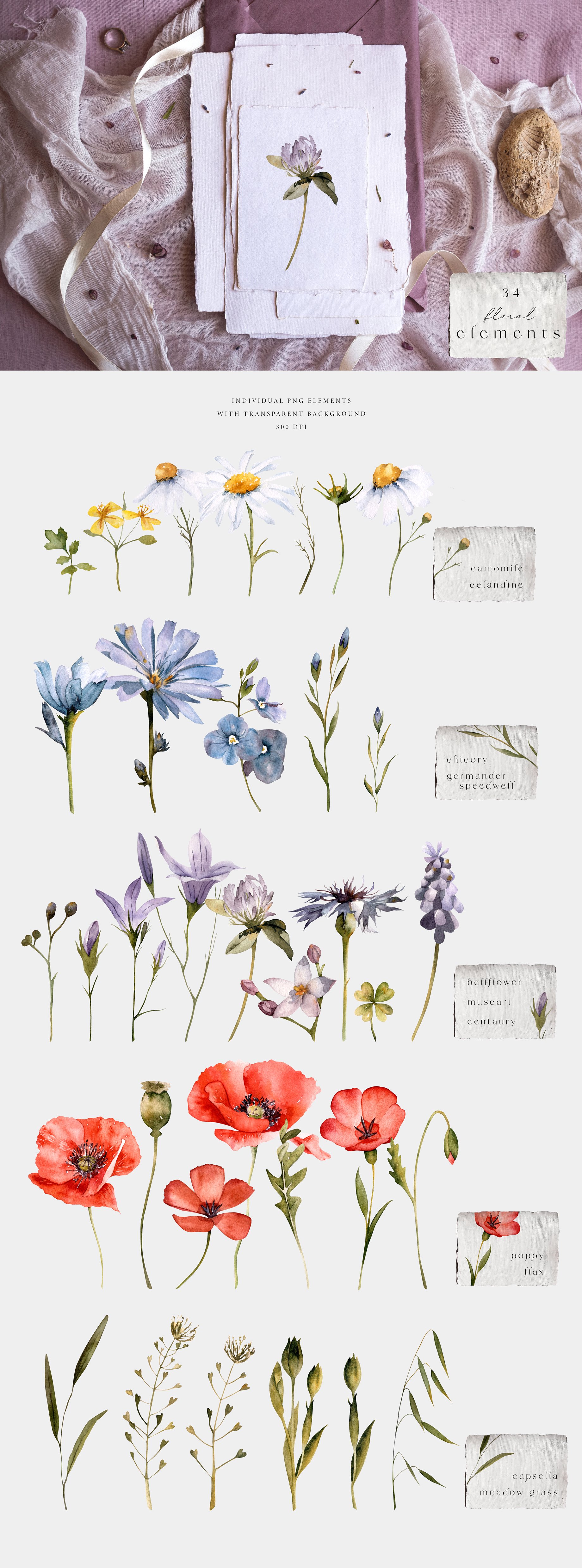 5 floral elements 587