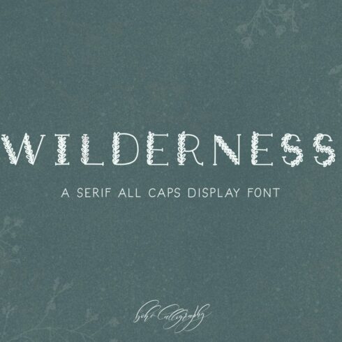 Wilderness - Serif Display Font cover image.
