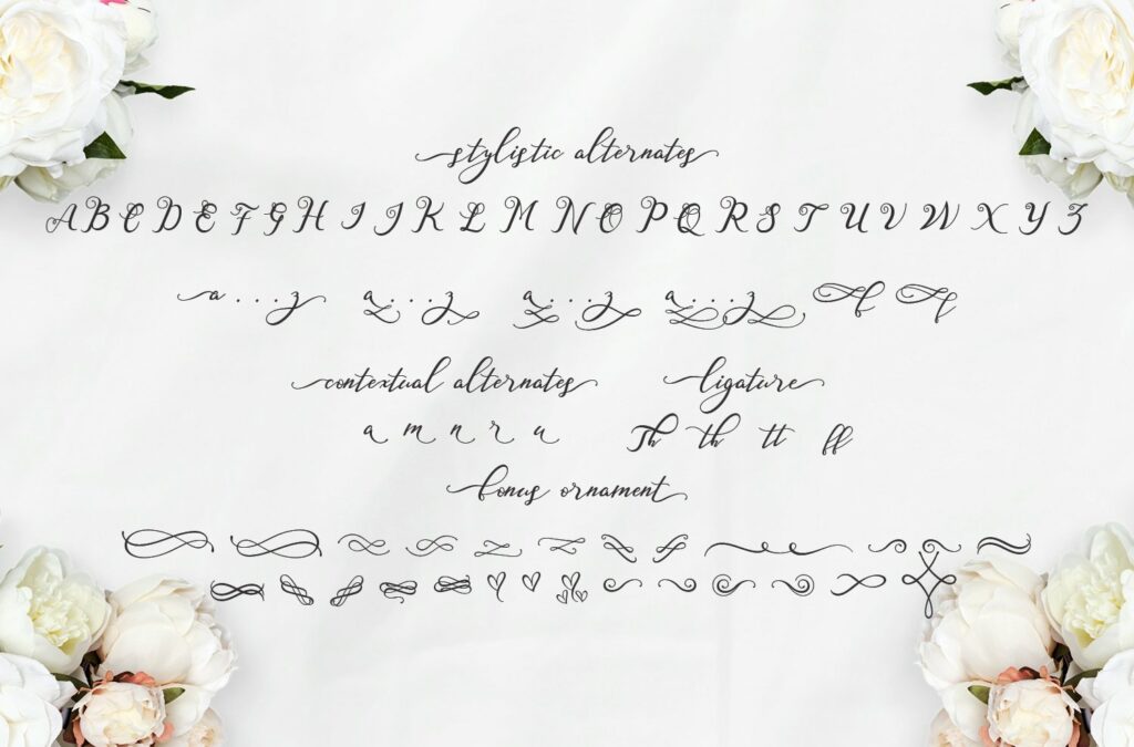 Nazeefa Script Font (30% OFF) – MasterBundles