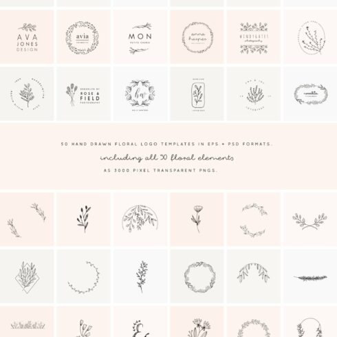 50 Floral Hand Drawn Logo Templates cover image.