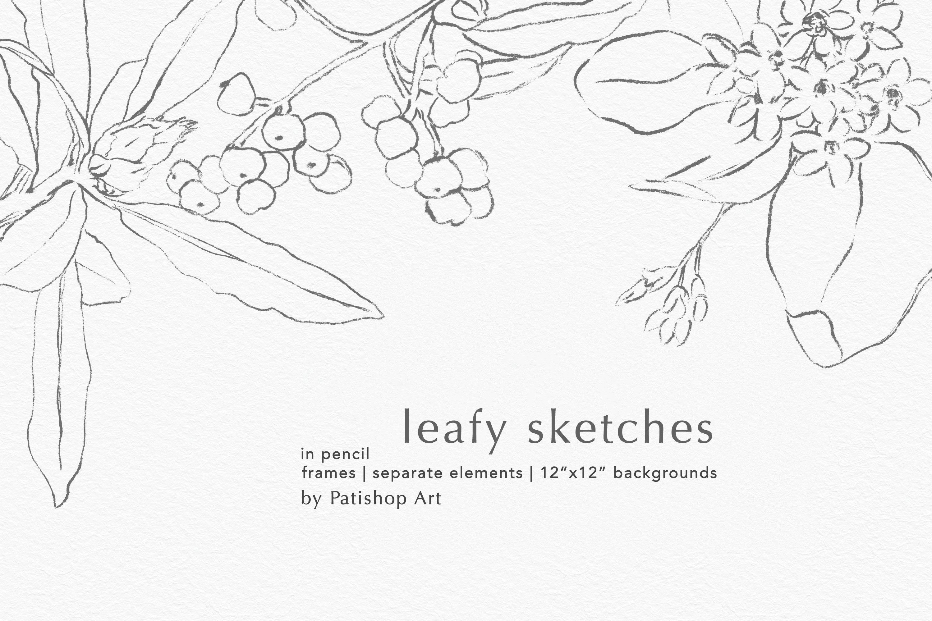Leafy Sketches in Pencil preview image.