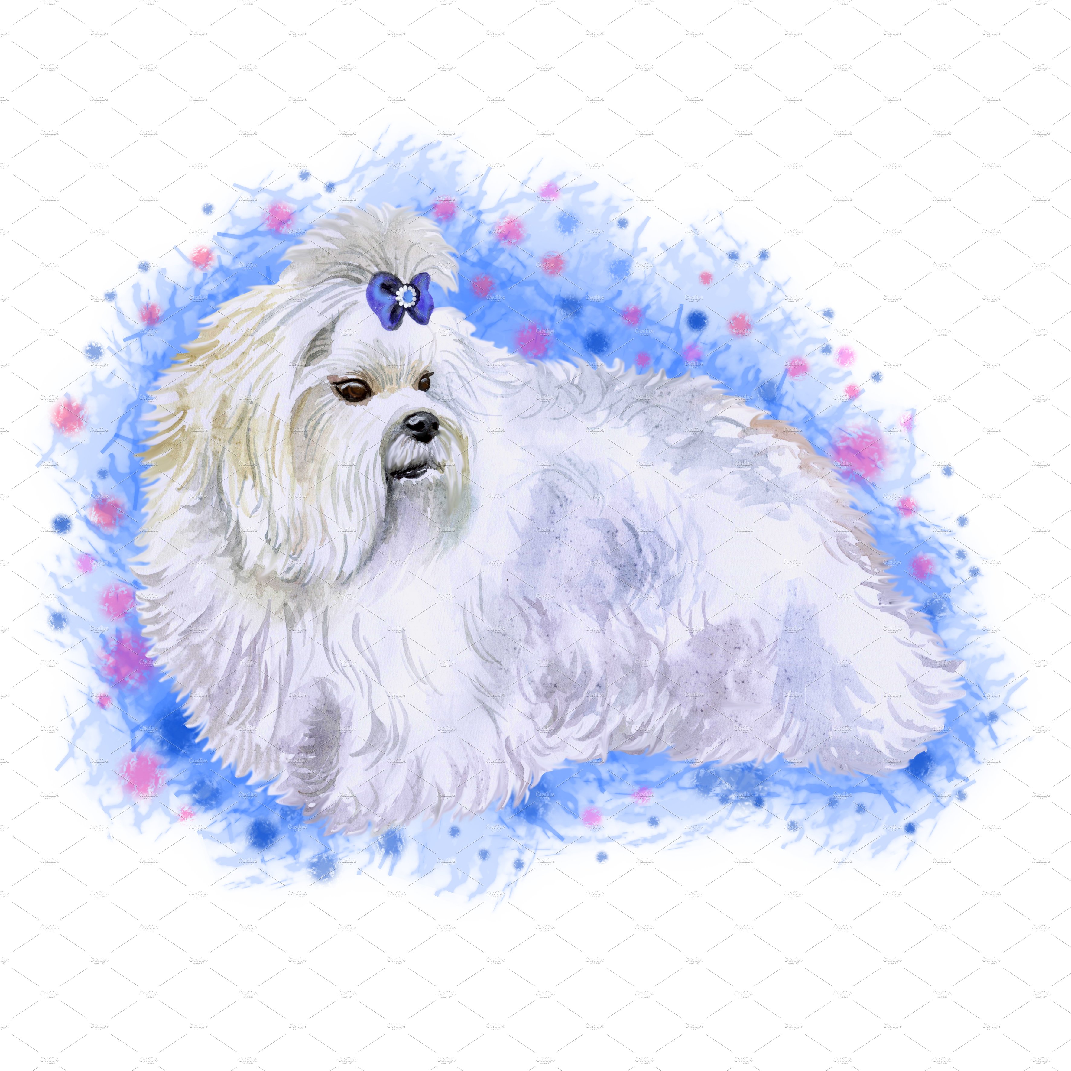 6. maltese dog with background 28129 874